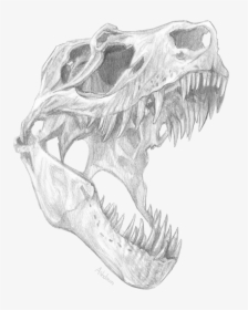 Clip Art Skull Pencil Drawings - T Rex Skull Design, HD Png Download, Free Download