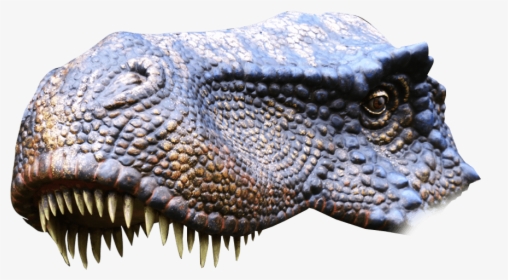 Transparent Dinosaur Head Png - Nile Crocodile, Png Download, Free Download
