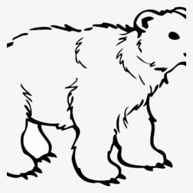 Polar Bear Clipart Free 19 Polar Bear Graphic Free - Outline Of Wild Animals, HD Png Download, Free Download