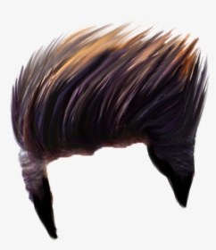 Hair Png Photo - Wild Turkey, Transparent Png, Free Download