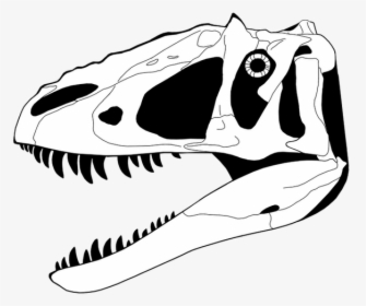 Dinosaur Skull Coloring Page, HD Png Download, Free Download