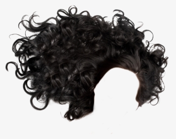 11 2 Hair Png - Black Curly Hair Png, Transparent Png, Free Download