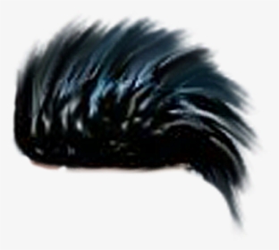 Porcupine, HD Png Download, Free Download
