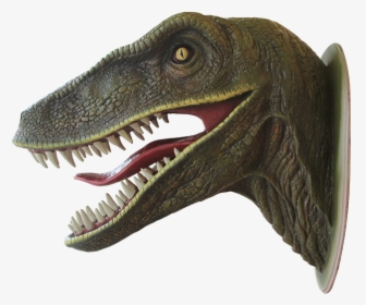 Dinosaur Png - Dinosaur Head, Transparent Png, Free Download