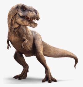 Dinosaurs Google Search Wild - Trax Dinosaur, HD Png Download, Free Download