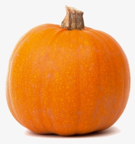 Free Pictures Of Pumpkin Isolated, HD Png Download, Free Download