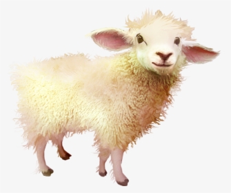 #sheep #baby #freetoedit - Baby Sheep Png, Transparent Png, Free Download