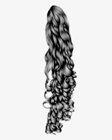 Collection Of Free Ponytail Drawing Wavy Download On - Curly Hair Png Transparent, Png Download, Free Download