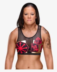 Transparent Raw Tag Team Championship Png - Shayna Baszler Nxt Women's Championship, Png Download, Free Download