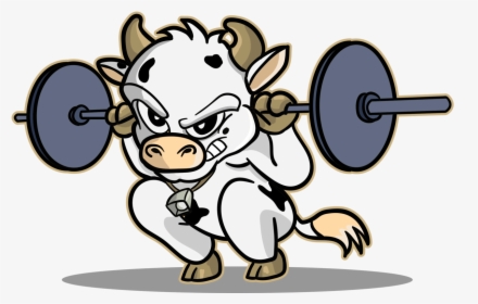 Support Belts Wodstaff - Animals Lifting Weights Clipart, HD Png Download, Free Download