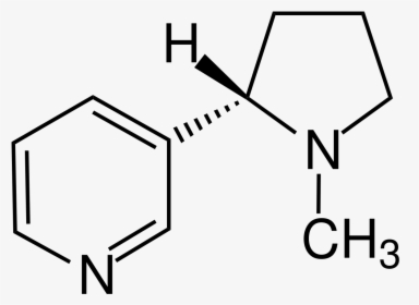 2 Chloroacetophenone, HD Png Download, Free Download