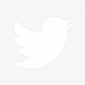 Trompeta Solista/soloist Trumpet - Twitter Logo Transparent White Png, Png Download, Free Download