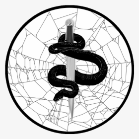 Arcane Sanctum Wikia - Transparent Background Spider Web Png, Png Download, Free Download