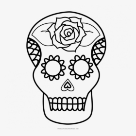 Medium Size Of Coloring Page - Calavera Coloring Page, HD Png Download, Free Download