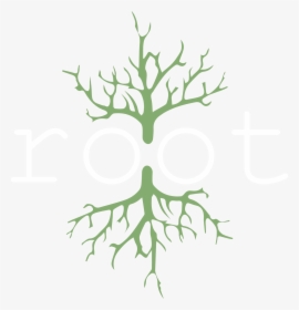 Transparent Background - Root, HD Png Download, Free Download