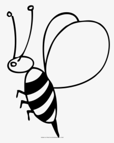 Transparent Abeja Clipart, HD Png Download, Free Download