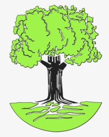 Tree, Stem, Roots, Leaves, Nature, Green, Grass, Wood - Johann Pachelbel Family Tree, HD Png Download, Free Download