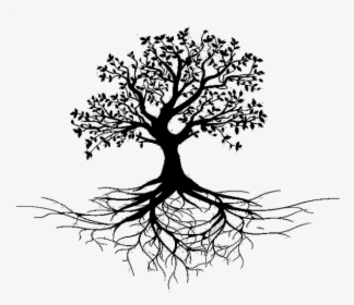 Vector Royalty Free Library Roots Transparent Black - Tree With Roots Png, Png Download, Free Download