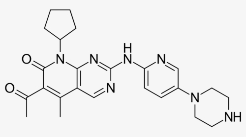 Palbociclib - Svg - 6 Amino 1 3 Naphthalenedisulfonic Acid, HD Png Download, Free Download