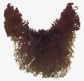 Beard Transparency, HD Png Download, Free Download