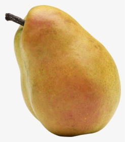 Pear Png Image - Brown Pear Png, Transparent Png, Free Download