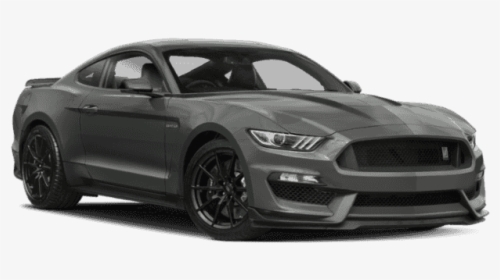 New 2019 Ford Mustang Shelby Gt350 Fastback - Shelby Gt350 Mustang 2018, HD Png Download, Free Download
