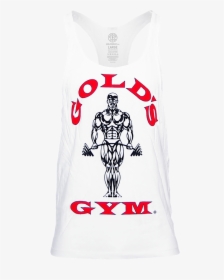 Golds Gym, HD Png Download, Free Download