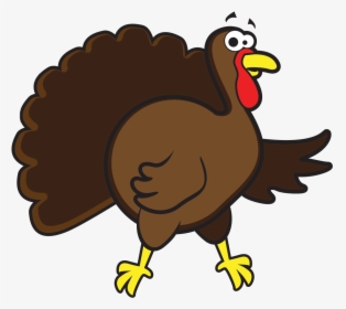 Turkey Vector, HD Png Download, Free Download