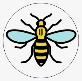 Manchester Bee Logo Png, Transparent Png, Free Download