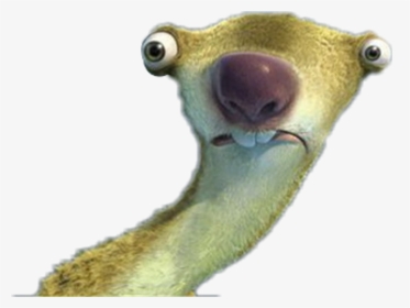 Sid De La Era De Hielo Drogado , Png Download - Sid Ice Age Scared, Transparent Png, Free Download