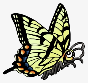 Georgia Clipart Ga State - Swallowtail Butterfly Clip Art, HD Png Download, Free Download