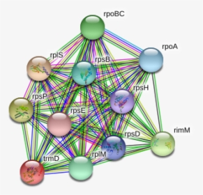 Trmd Protein - Circle, HD Png Download, Free Download