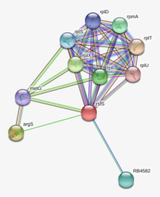 Rsfs Protein - Circle, HD Png Download, Free Download