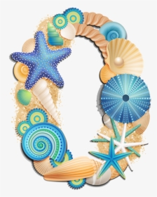 #numbers #beach #saltlife - Sea Shells Numbers Clipart, HD Png Download, Free Download