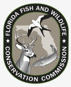 Florida Fish And Wildlife Conservation Commission, HD Png Download, Free Download
