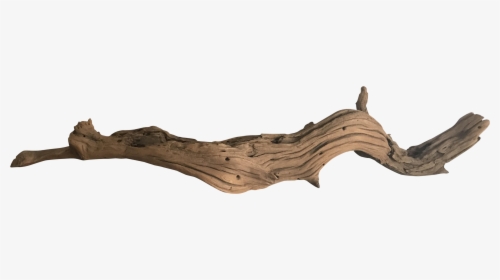 Clip Art Driftwood Vector - Driftwood, HD Png Download, Free Download