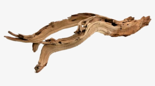 Koyal Wholesale California Driftwood With Natural, HD Png Download, Free Download
