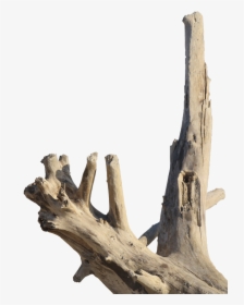 Driftwood, HD Png Download, Free Download