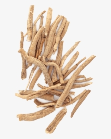 Drift Wood Png, Transparent Png, Free Download