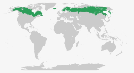 Temperate Grasslands Of The World, HD Png Download, Free Download