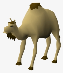 Osrs Camel, HD Png Download, Free Download