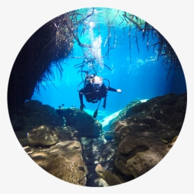 Underwater, HD Png Download, Free Download