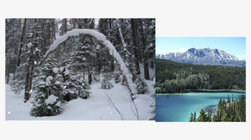 Picture - Emerald Lake, HD Png Download, Free Download