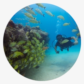 Underwater, HD Png Download, Free Download