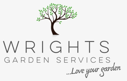 Twig, HD Png Download, Free Download