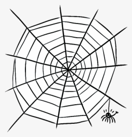 Spider Web Vector Png, Transparent Png, Free Download