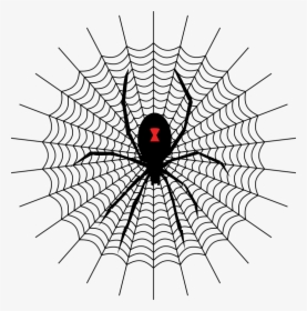 Intricate Spider Web Style 2 With Black Widow, HD Png Download, Free Download