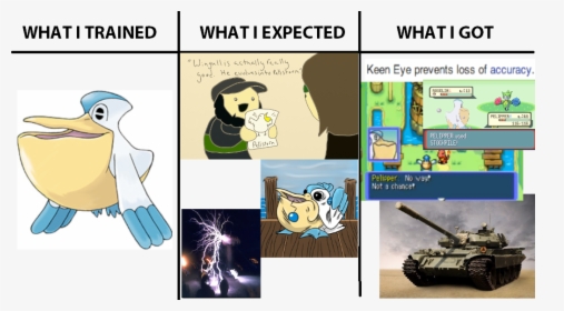 Whati Trainedwhati Expected What I Got Keen Eye Prevents - Pelipper Good, HD Png Download, Free Download