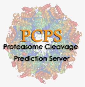 Proteasome, HD Png Download, Free Download