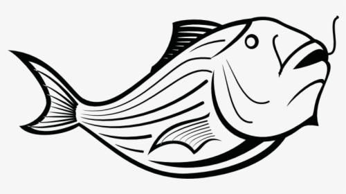 Peixe Draw, HD Png Download, Free Download